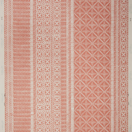 Shiva San Antonio Pink