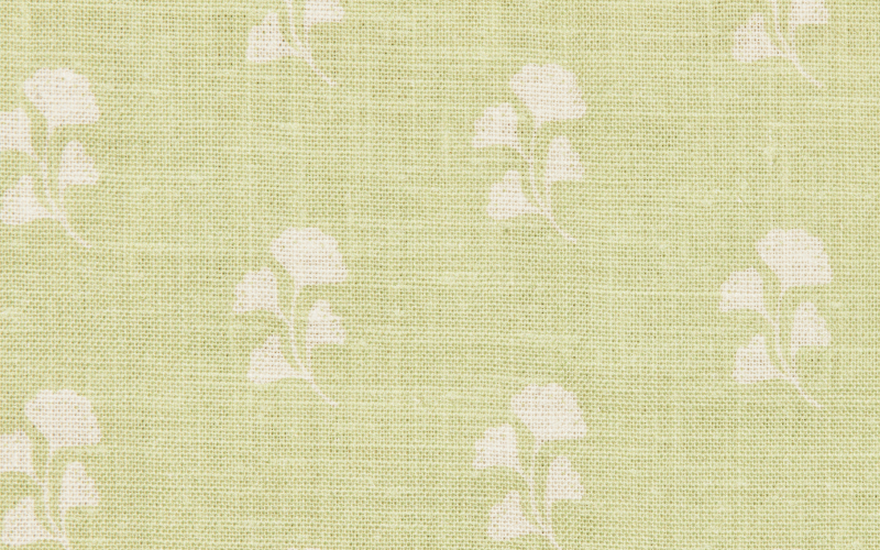 GINKGO SPRING GREEN